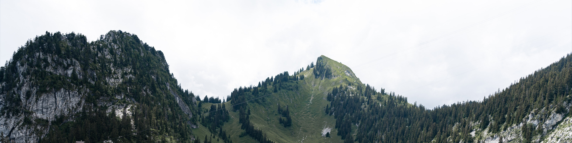 中青旅湖北国际旅行社有限公司光谷大道分部